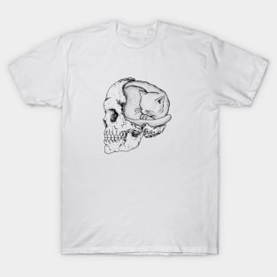 Cat in a skull T-Shirt